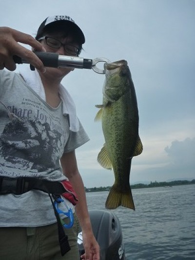 truth truth_news ブログ写真 2015/08/08