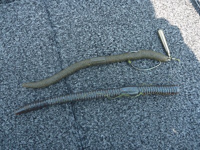 truth truth_news ブログ写真 2015/08/08