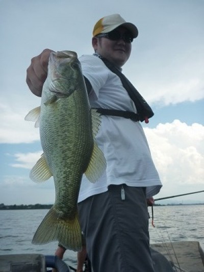 truth truth_news ブログ写真 2015/08/08