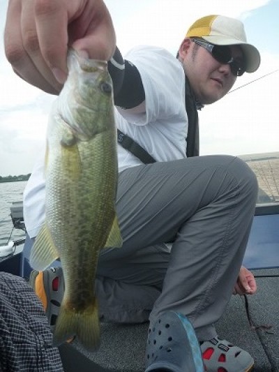 truth truth_news ブログ写真 2015/08/08