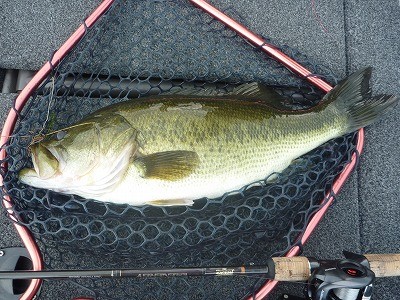 truth truth_news ブログ写真 2015/08/08