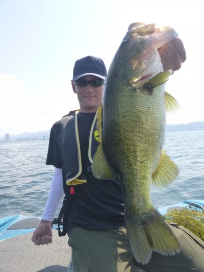 truth truth_news ブログ写真 2015/08/08