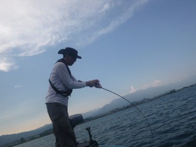 truth truth_news ブログ写真 2015/08/08