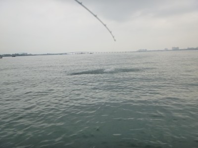 truth truth_news ブログ写真 2015/08/08