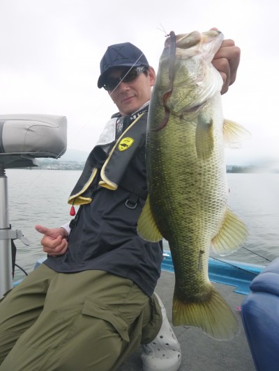 truth truth_news ブログ写真 2015/08/08