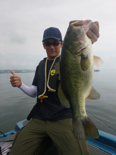 truth truth_news ブログ写真 2015/08/08