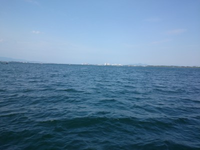 truth truth_news ブログ写真 2015/08/11