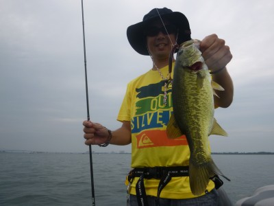 truth truth_news ブログ写真 2015/08/12