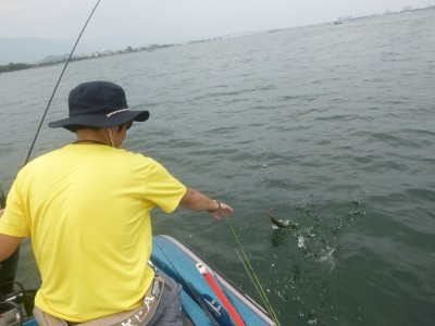 truth truth_news ブログ写真 2015/08/12