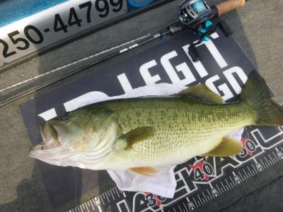 truth truth_news ブログ写真 2015/08/12