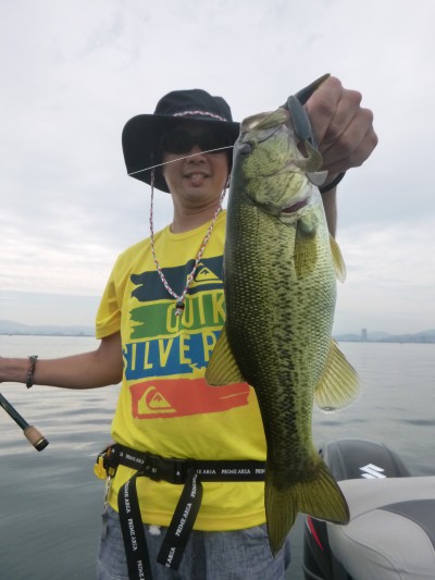 truth truth_news ブログ写真 2015/08/12