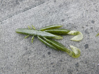 truth truth_news ブログ写真 2015/08/12