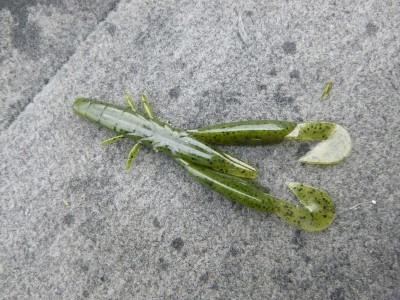 truth truth_news ブログ写真 2015/08/12