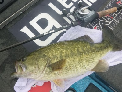 truth truth_news ブログ写真 2015/08/13