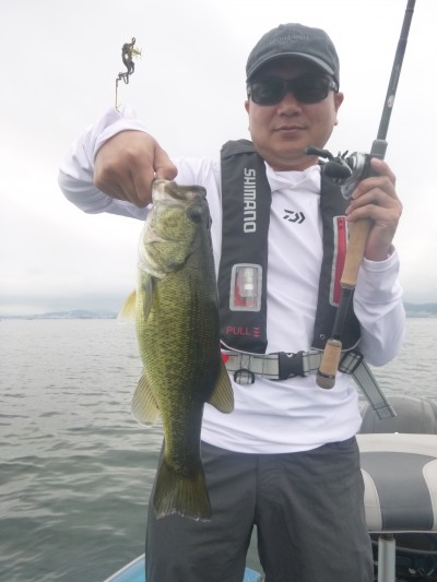 truth truth_news ブログ写真 2015/08/13