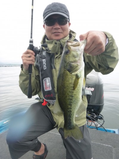 truth truth_news ブログ写真 2015/08/13