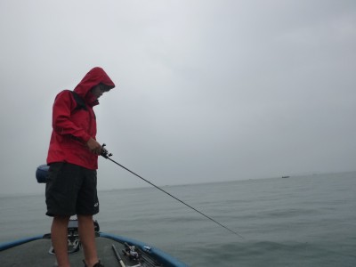 truth truth_news ブログ写真 2015/08/13