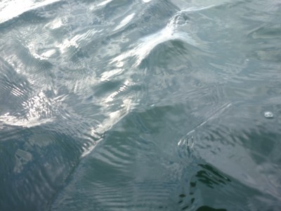 truth truth_news ブログ写真 2015/08/14