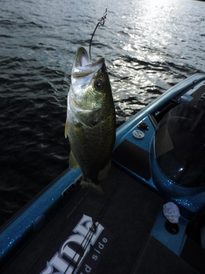 truth truth_news ブログ写真 2015/08/14