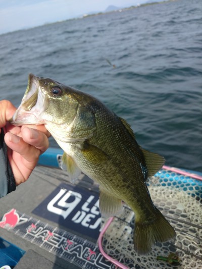 truth truth_news ブログ写真 2015/08/14