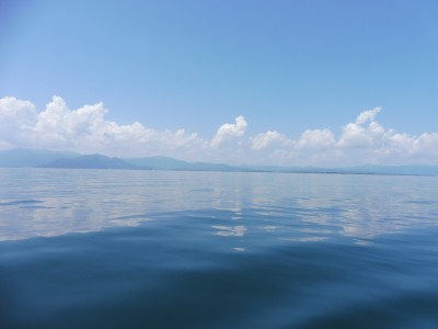 truth truth_news ブログ写真 2015/08/15