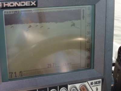 truth truth_news ブログ写真 2015/08/15