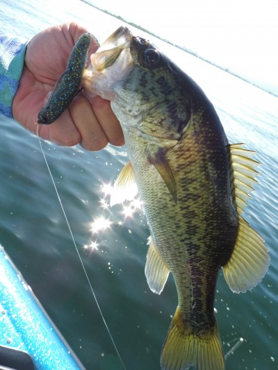 truth truth_news ブログ写真 2015/08/18