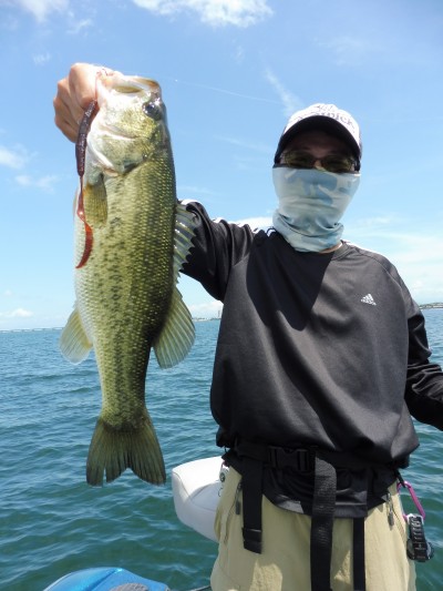 truth truth_news ブログ写真 2015/08/18