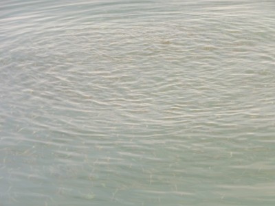 truth truth_news ブログ写真 2015/08/19