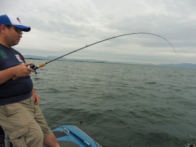 truth truth_news ブログ写真 2015/08/19