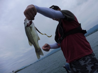 truth truth_news ブログ写真 2015/08/19