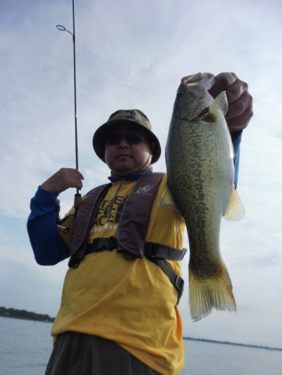 truth truth_news ブログ写真 2015/08/21