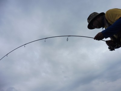 truth truth_news ブログ写真 2015/08/21