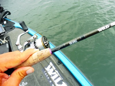 truth truth_news ブログ写真 2015/08/21