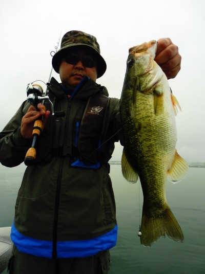 truth truth_news ブログ写真 2015/08/21