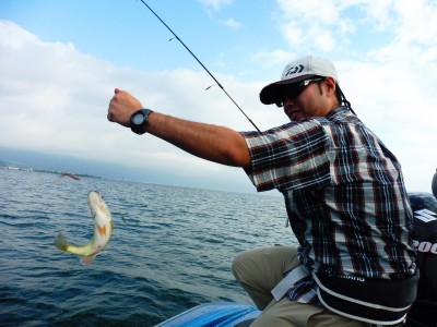 truth truth_news ブログ写真 2015/08/22