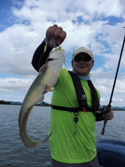 truth truth_news ブログ写真 2015/08/22