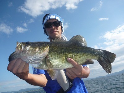 truth truth_news ブログ写真 2015/08/23