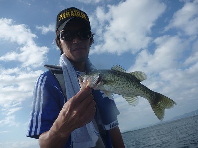 truth truth_news ブログ写真 2015/08/23