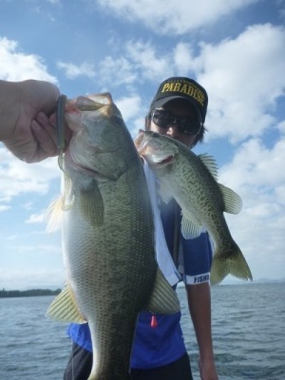 truth truth_news ブログ写真 2015/08/23