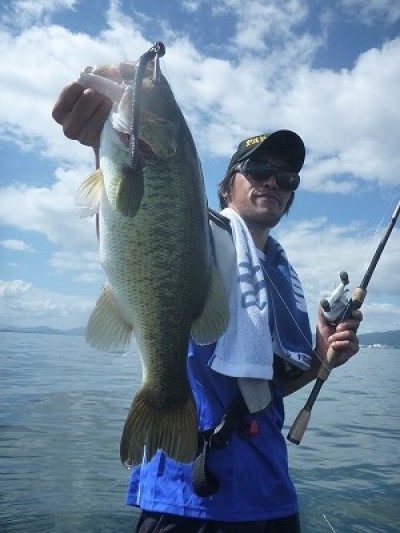 truth truth_news ブログ写真 2015/08/23