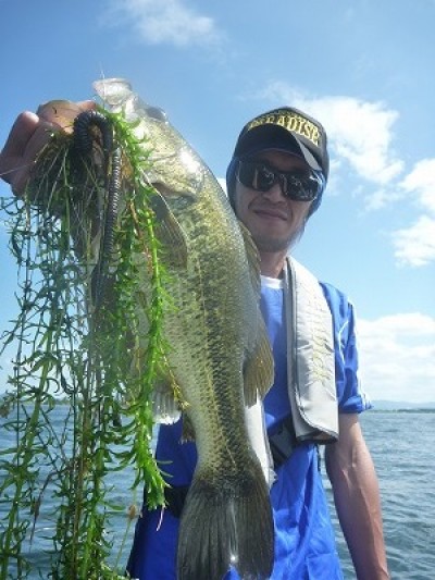 truth truth_news ブログ写真 2015/08/23