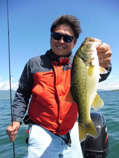 truth truth_news ブログ写真 2015/08/26