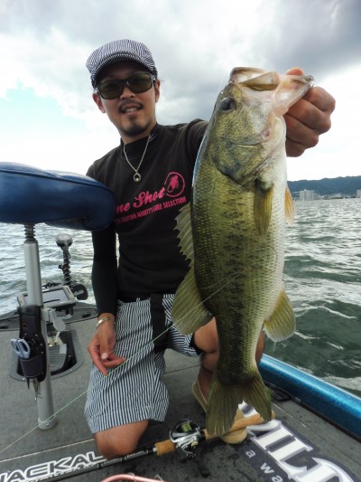 truth truth_news ブログ写真 2015/08/26