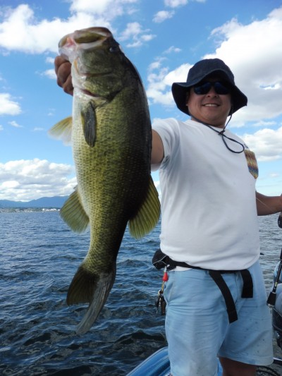 truth truth_news ブログ写真 2015/08/26