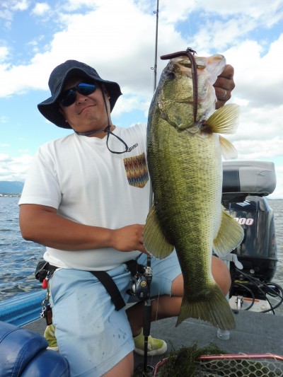 truth truth_news ブログ写真 2015/08/26