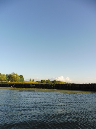 truth truth_news ブログ写真 2015/08/27