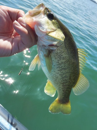 truth truth_news ブログ写真 2015/08/27