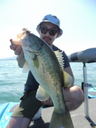 truth truth_news ブログ写真 2015/08/27