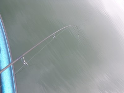 truth truth_news ブログ写真 2015/09/01